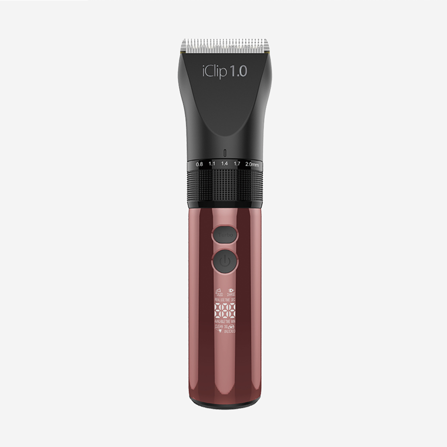 iClip 1.0 - GIUBRA